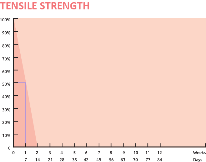 Asset-13x | SURGIMEDIC