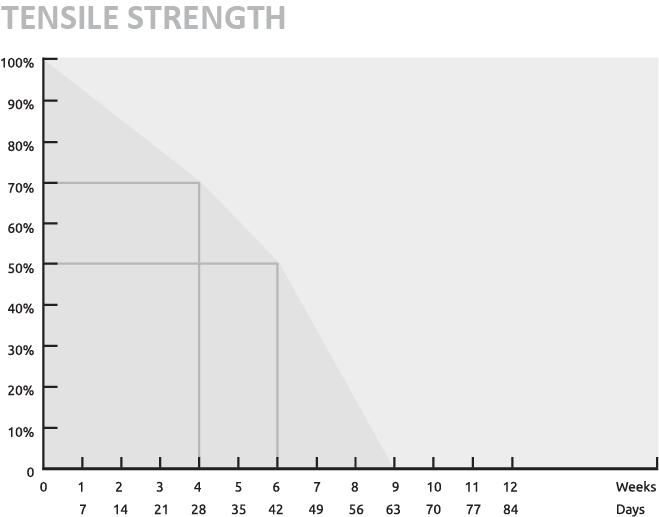 SURCANONE-ABSORPTION-Asset-13x-2 | SURGIMEDIC SURCANONE-ABSORPTION